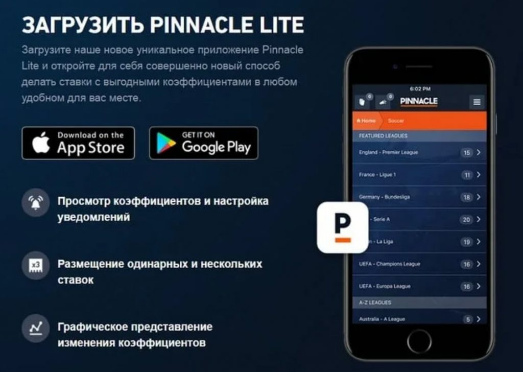 pinnacle_mobile_prilojenie